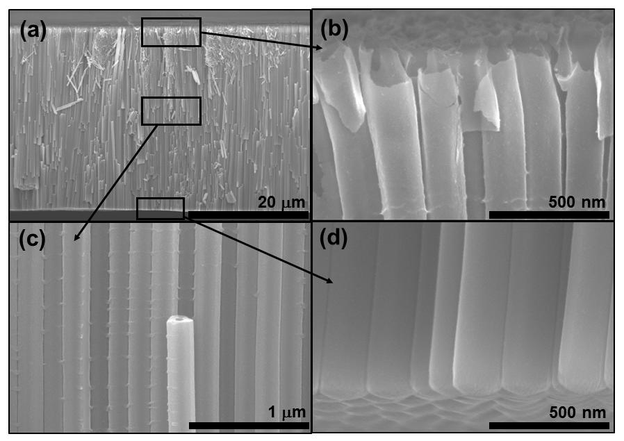 602 이기영 Figure 1. (a)-(d) Representative cross-sectional SEM image of TiO 2 nanotubes. The anodization was performed in 0.15 M NH 4 F/3 vol% H 2 O containing ethylene glycol electrolyte at 60 V.