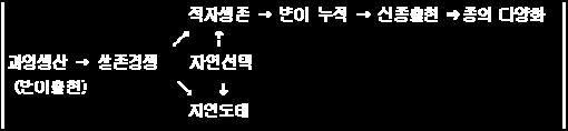 다윈의진화설 : 자연선택설 : 1895 년다윈의종의기원에서발표 2) 현대의진화이론 : 유전자의돌연변이 ( 유전자풀의변화 ) 자연선택 ( 생식적 / 지리적 ) 격리 < 새로운종의분화 > 로종합적으로설명