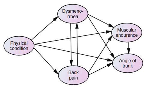 Dysmenorrhea, Back Pain, Muscular Endurance and Angle of the Trunk in Girl Students Figure 2. Posture of trunk flexor endurance measurement. Figure 1. Structural equation model in current study.