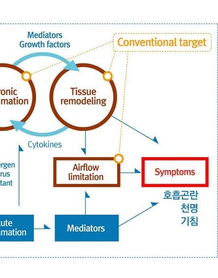 Target deconvolution strategies in drug discovery. Nature Reviews Drug Discovery 2007, 6, 891-903. 3. Kim, Y.M., Kim Y.S., Jeon, S.G., Kim, Y.K. Immunopathogenesis of allergic asthma: more than the Th2 hypothesis.