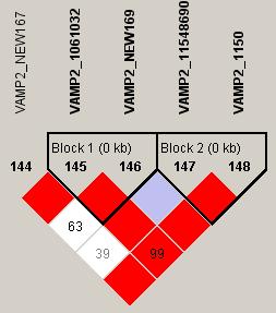 - VAMP2의 LD SNP1 SNP2 D' r^2 NEW167 rs1061032 1 0.023 NEW167 NEW169 0.637 0.