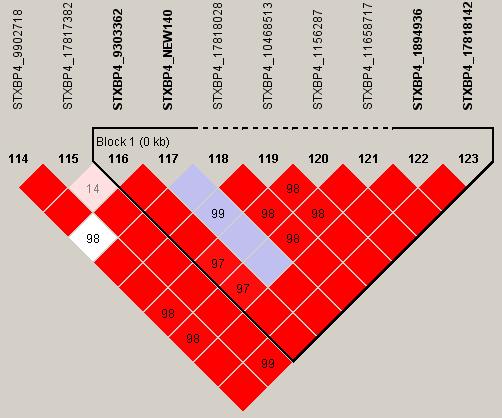 00038 ACTGCTCGAGAC 0.00038 AGTGGGTGGGGG 0.00038 AGTGCGTGGGGG 0.00038 CGTGCTCCAAAC 0.00035 12 STXBP4 유전자 Haplotype Frequency GACCAAAA 0.