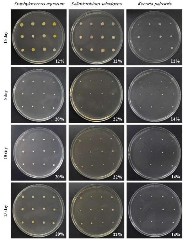 Fig. 3-12. Effect of NaCl on the growth of predominant species isolated from Saeu-jeotgal.