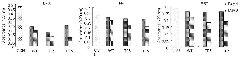 아교버섯의형질전환체는야생균주에비해에스트로겐성이약간줄어드는경향을보였다 ( 그림 3-58).