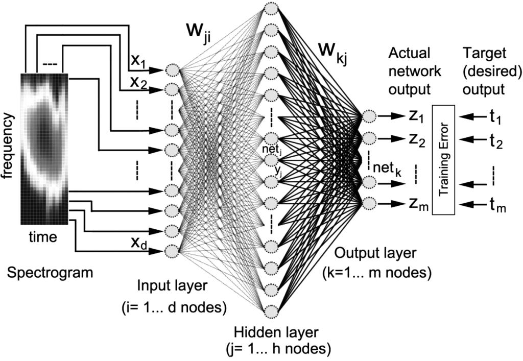 226 이대재 다중퍼셉트론인공신경망과어류의시간 - 주파수이미지데이터의학습 (neuron, node),., (multilayer perceptron network, MLP), MLP Fig. 1. Fig. 1 j i x i, (connection weight) w ji, j (bias) b j, Fig. 1 MLP.