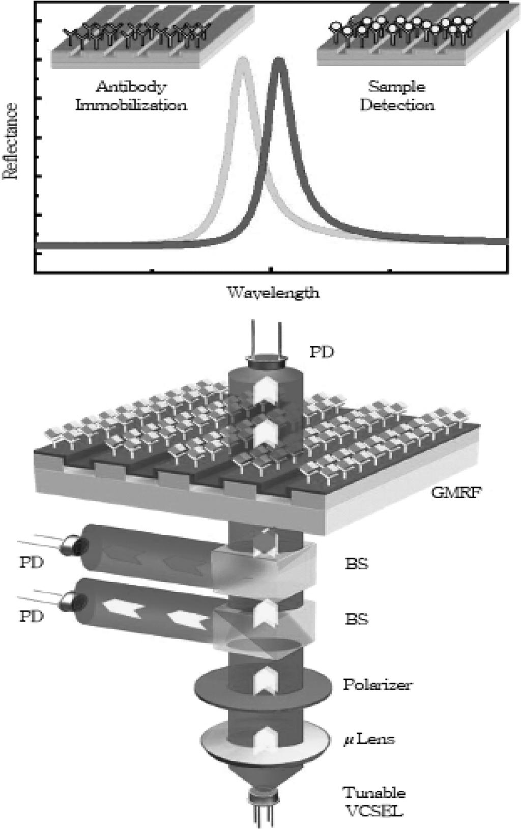 박세광 양주란 6 Fig. 8. AFM and SEM images of the resonant reflective filter[18]. 다시 공진 반사 파장을 측정하여 이 측정치의 차이로 부터 표면상의 광학적 두께 변화를 검출하는데, 이론적 으로 계산한 결과 1 nm 이상의 두께 변화를 감지할 수 있다.