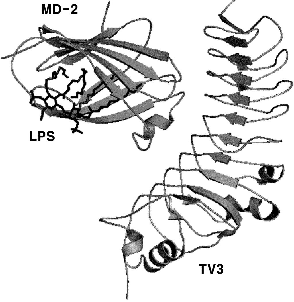 2/6 [Fig.