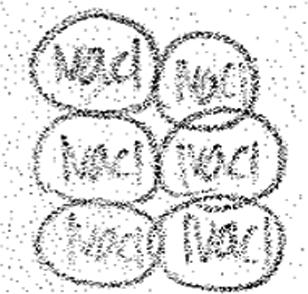 The types of students responses on NaCl particles in