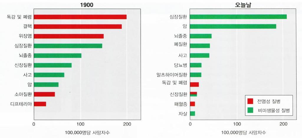 1.3 인간에대한미생물의영향 1) 질병원으로서의미생물 - 20세기초의주요사망원인은세균성및바이러스성병원체에의한전염성질병 - 기생체는숙주를통해필요한것을얻음.