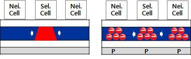 (a) Solid Pattern (b) Checker-board