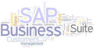 어플리케이션과의제품주기와유지보수정책동기화 SAP