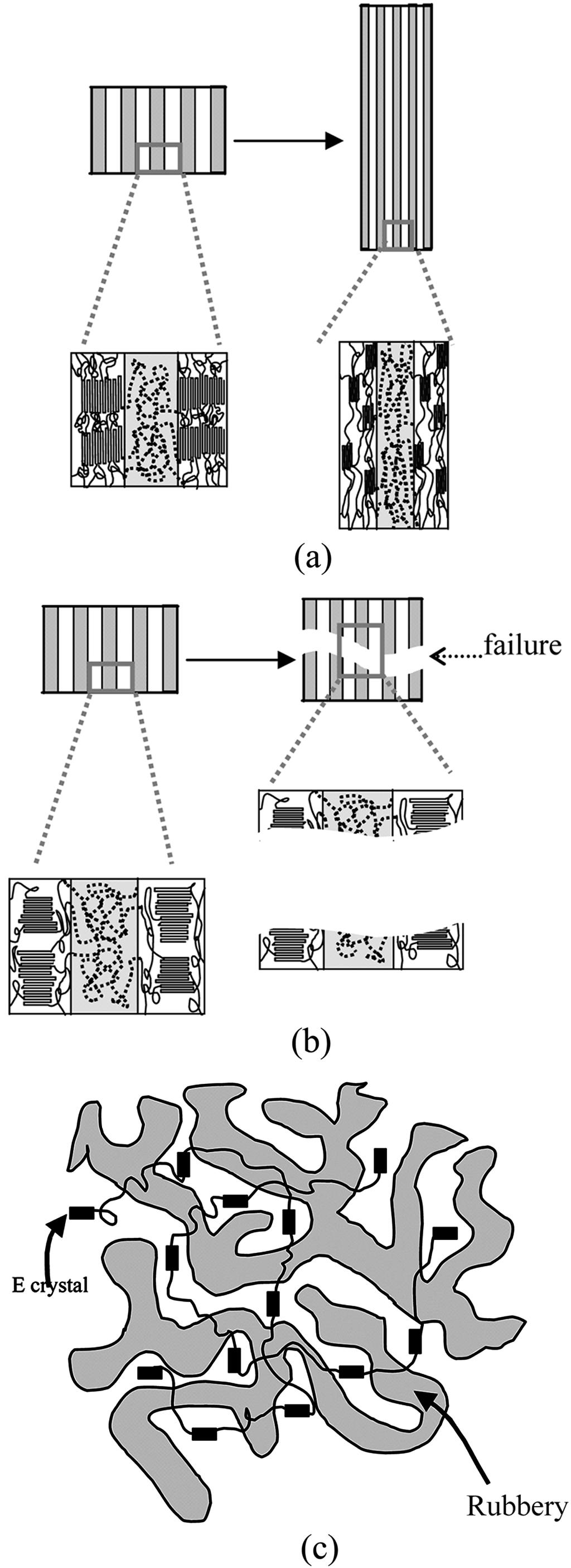 ] 23 kg/mol. For n 8 the materials strain soften, while for n 10 they strain harden, and (c) tensile strength σ B of (EP) n block copolymers.