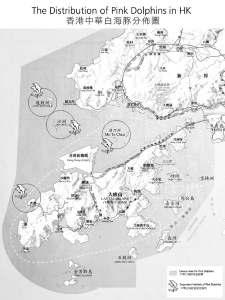 Assessment, 1987) to 3천만 or 5천만종