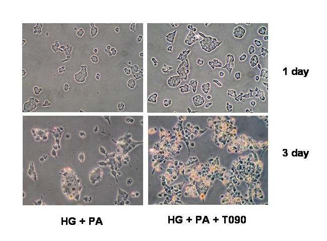 Fig. 10.