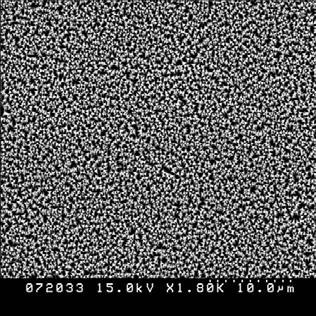 SEM images of indium oxide