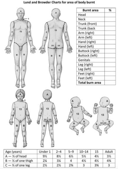 Lund - Browder chart