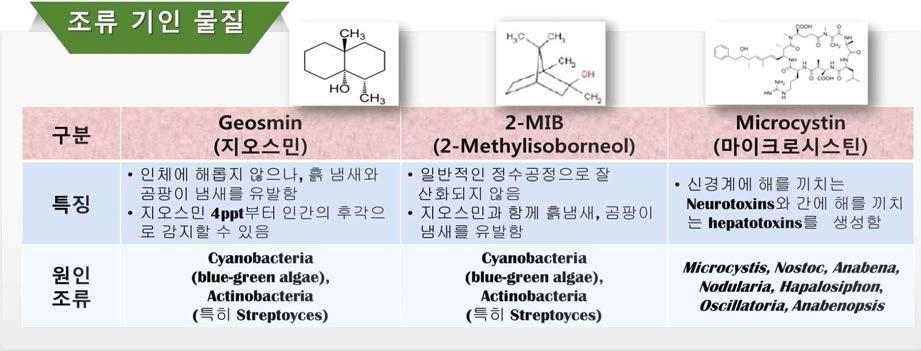 제 1 장연구개발과제의개요 제 1 절. 과제개요 녹조발생시대응가능한선진정수처리기술개발을목표로대체산화제, 대체흡착제개발및 pilot plant 실증연구를통한시스템성능검증을하고자하며, 개발정수처리기술평가를위한최상가용기법 (BAT) 가이드라인제시및공정표준화를목표로함 제 2 절. 연구개발의필요성 1.