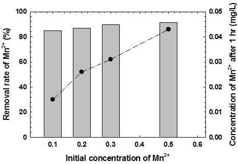 그림 49. 초기망간이온농도에대비망간이온감소효율 초기망간농도를 0.