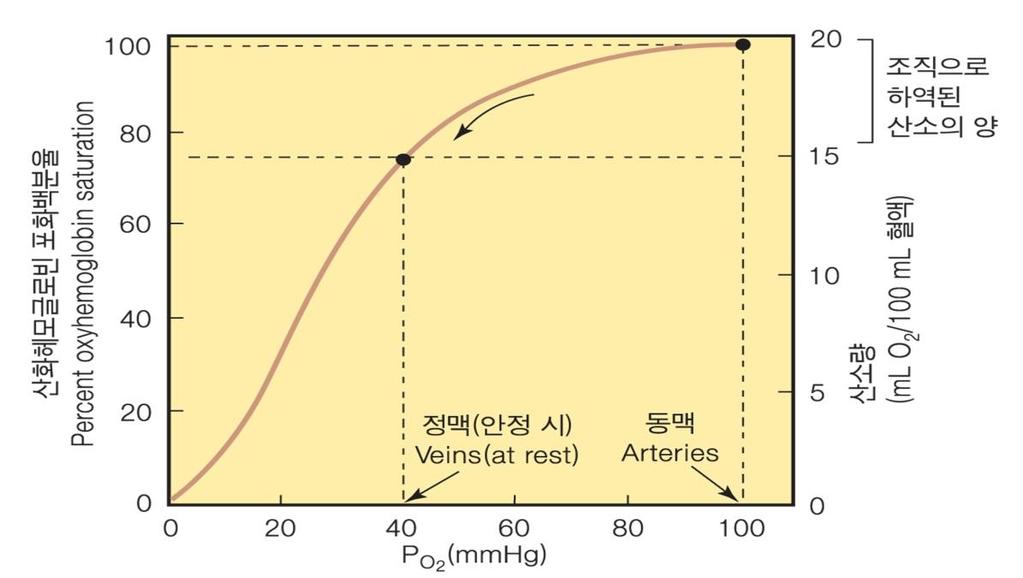 Respiratory Function of Hemoglobin (lungs) - Deoxyhemoglobin + O2 Oxyhemoglobin (tissues)