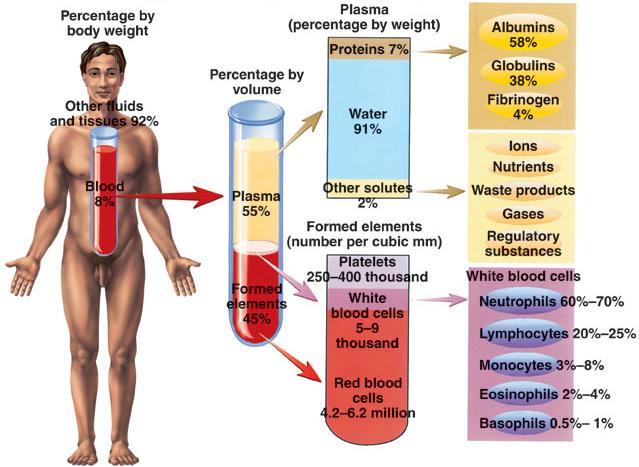 혈액의구성성분