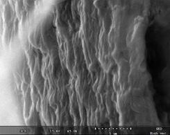 SEM image of PP/SEBS structure before xylene treatment Fig. 21.