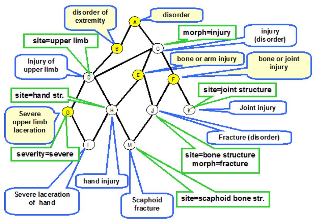 Ⅰ. 서론 SNOMED CT(Systematized Nomenclature of Medicine-Clinical Terms) 는진료기록을표준화된용어를이용하여기록및관리하기위해사용하는표준의학용어체계이다.