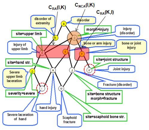 표준의학용어체계에서의효과적인용어비교검색기법 다. 이때, C NCA (I, K) 는컨셉 I, K에대해컨셉 A, C의 Distance를비교해보면 {C} 임을계산할수있다. is-a 관계를바탕으로두컨셉을비교할때 C CA 중 C NCA 를제외한나머지조상노드들은서로동일하므로이들을통해서두컨셉을비교하는것은무의미하다.