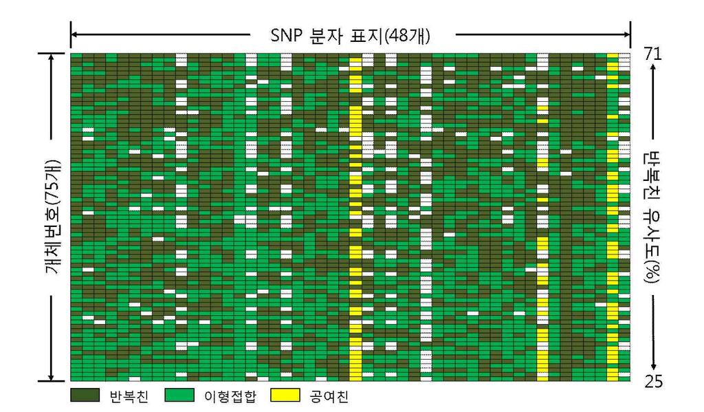 그림 7. PM 저항성육성집단 ( 여교잡 1세대 ) 의 BioMarkTM HD system 분석결과.