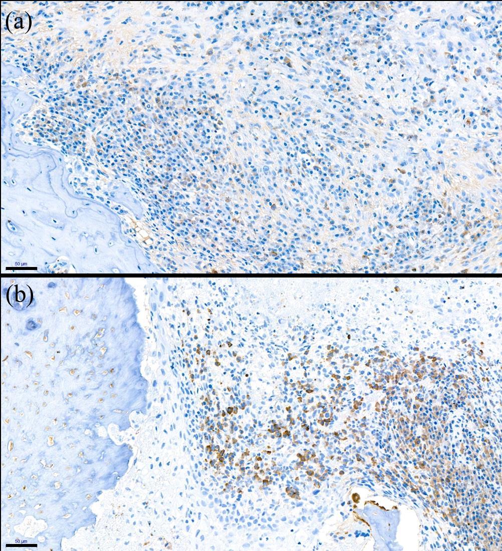 Figure 14.