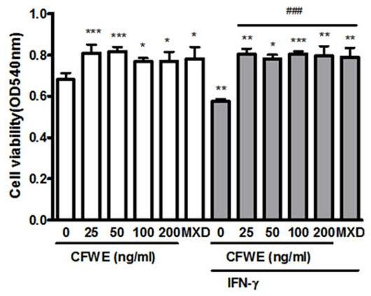 Effect of CFWE on protein expression of Wnt/β-catenin signaling involved in anagen development. Dorsal skins were collected from C57BL/6N mice on day7 after depilation.