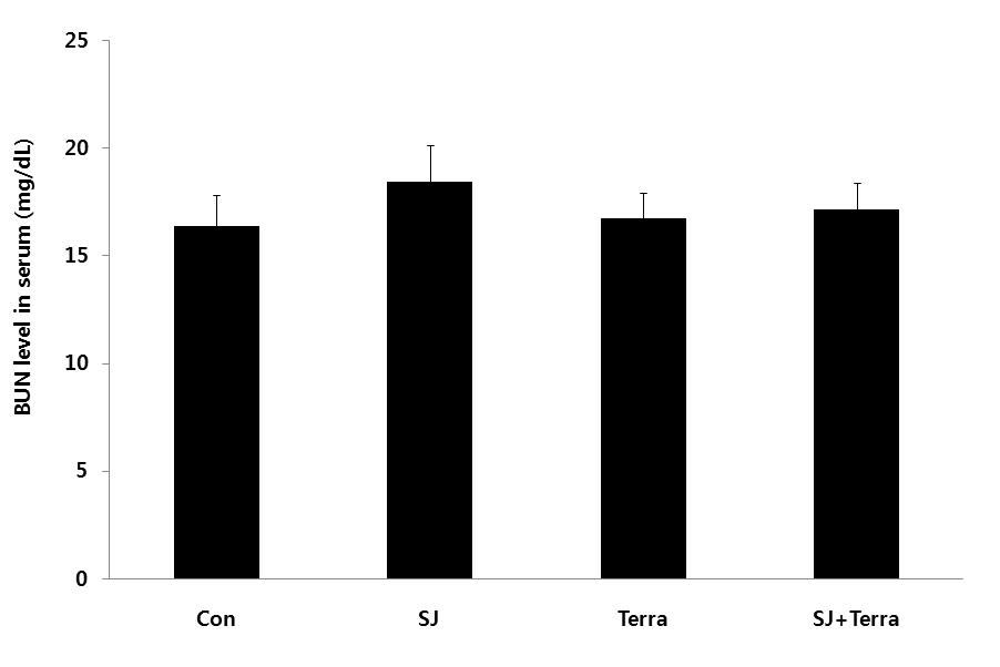 02 mg/dl, SJ군은 0.59±0.04 mg/dl, Terra군은 0.53±0.02 mg/dl, SJ+ Terra군은 0.57±0.04 mg/dl 로나타났다 (Fig. 12). (2) BUN BUN은 control 군은 16.42±1.43 mg/dl, SJ군은 18.45 ±1.71 mg/dl, Terra군은 16.77±1.