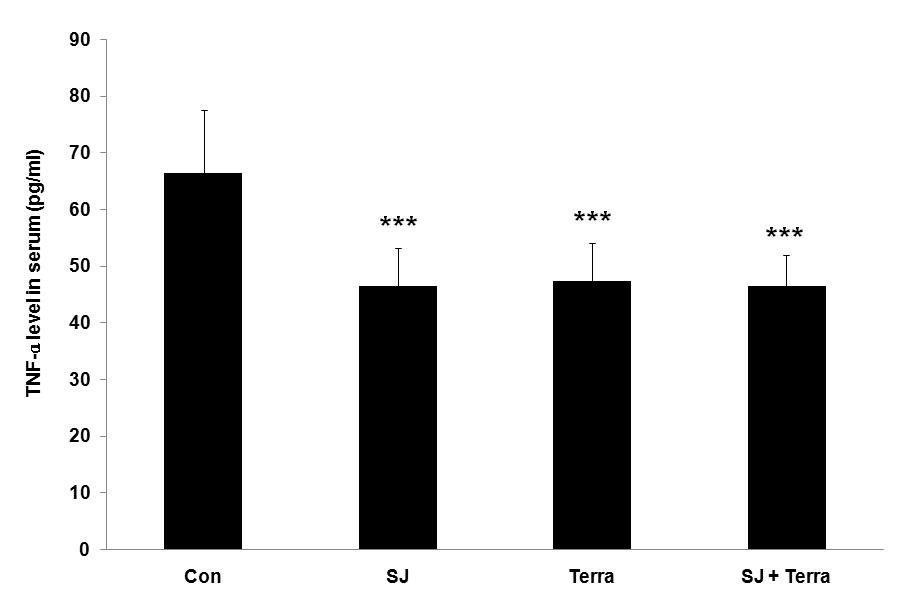 정훈 이현재 김빛나라 이치호 이은정 허동석 오민석 Fig. 17. Effects of Sibjeondaebotanggamibang and terramycin on levels of Lymphocyte in the blood of wound-induced rats. The results were expressed as mean±s.d. from 6 wounded rats.