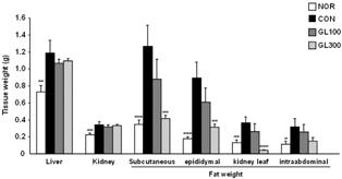 20 大韓本草學會誌 Vol. 31 No. 1, 2016 (0.04 ± 0.00 g) 에서는정상군보다감소하였다 (p <0.001). 내장지방의무게역시대조군 (0.32 ± 0.08 g) 에서는정상군 (0.11 ± 0.4 g) 에비해유의성있는증가를보였고 (p < 0.05), GL100 (0.26 ± 0.07 g) 과 GL300 (0.15 ± 0.