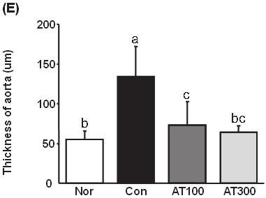 . Fig. 6. Effect of Allium tuberosum extract on aorta histological profiles in LDLr KO mice.  mg/kg body weight treated LDLr KO control mice; (E) Thickness of aorta.