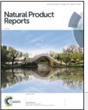 1종 - Annual Report( 백파일 ) 1종 6) 무료제공 - ChemSpider (