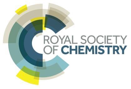 The Royal Society of Chemistry 이용자매뉴얼