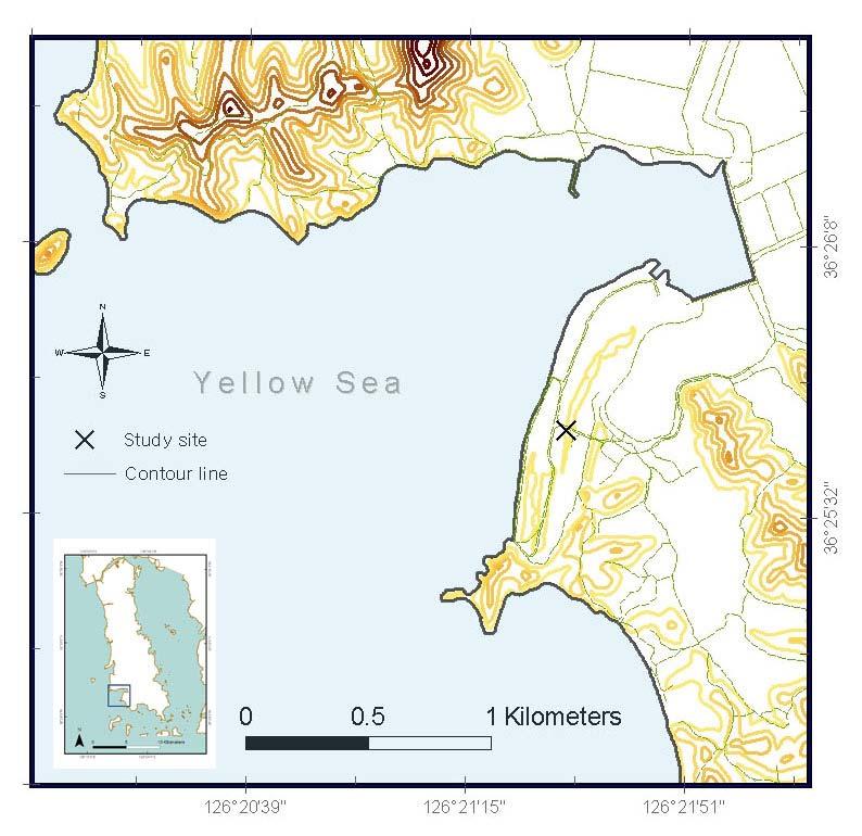 Ⅲ. 연구결과및고찰 63 라. 장곡리해안경관 1) 지형특성장곡리해안에있는운여해안사구 ( 그림 33) 는 Munyikwa et al.(2005, 2008) 에의해홀로세중기에형성된해안사구퇴적물이남아있는곳으로알려진곳이다.