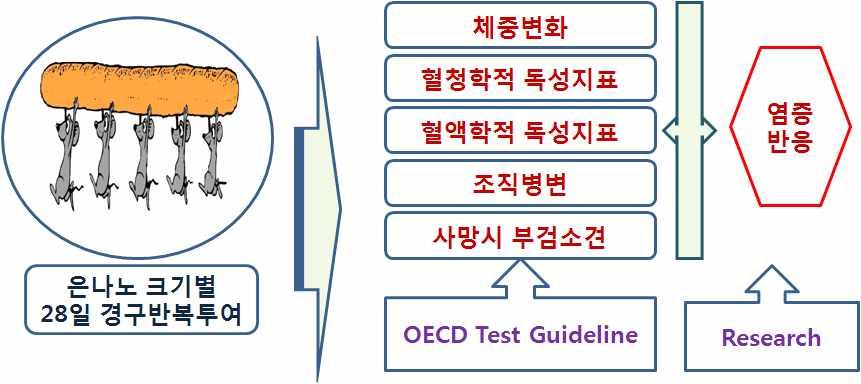 . in vivo Fig. 3-2. Outline of in vivo toxicity tests for silver nanoparticles (1) ICR ( ) (Gyunggi-do, Korea).