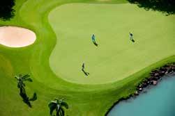 Legend Golf Course / Links Golf Course 벨마플라지리조트 + 프린스모리스리조트모리셔스동부에위치한두개의챔피언쉽코스. 두골프코스모두 MCB 투어챔피언쉽의정식개최지이며레젼드골프코스의경우 1994년오픈, 휴바이오키 (Hugh Baiocchi) 에의해디자인되었다.