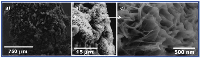 2. Graphene Oxide Nanowalls 이용 [4] 매우날카로운엣지와수직방향성을갖는 graphene oxide nanowall (GONWs) 이 EDP(electrophoretic deposition) 에의하여흑연전극에증착되었다. 환원된 graphene nanowalls (RGNWs) 를얻기위하여합성된 GONWs이하이드라진에의하여환원되었다.