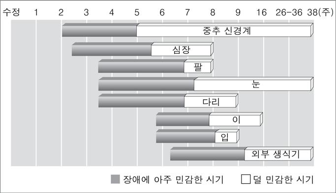 이에대한해석으로적절한것은? [3점] A 새로운장소에서 B 함께놀면서 C 쓰기, 셈하기 D 신체접촉을 다양한경험을 말을걸어주고 등의학습지도 자주해서심리적 하도록하면 들어주어야 를하도록해야 안정감을줘야 좋겠지요. 합니다. 합니다. 해요.