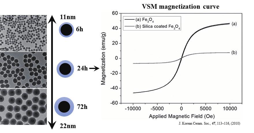 유리, 김유진 Fig. 10. Results of TEM images and VSM data of SiO 2 coated Fe 3 O 4 with reaction time 게기여할수있다. 이외에도실리카코팅두께는백색안료 ( 루타일형 TiO 2 ) 의백색도 (CIE L * ) 에큰영향을미친다.