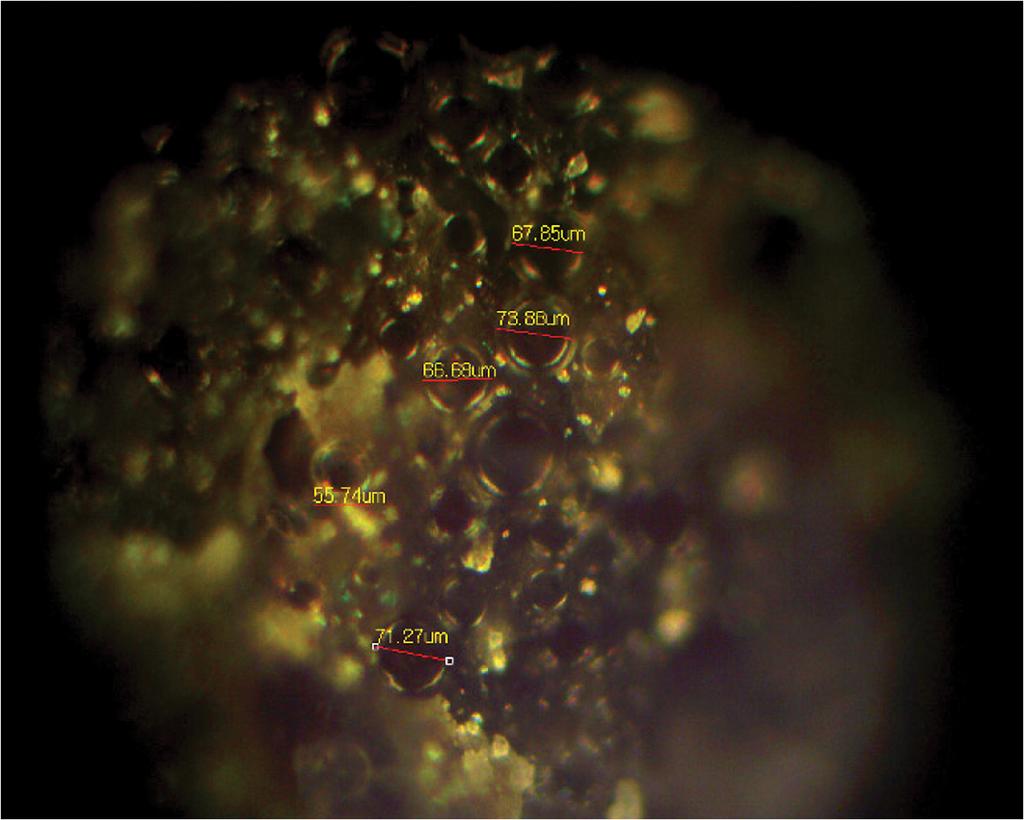Cross section OM image of TEM in PP matrix. Figure 7과 Figure 8은 열팽창 캡슐을 적용한 PP 시편의 단 면을 액체질소로 급속 냉각한 후 단면을 각각 SEM과 광학 현미경으로 관찰한 사진이다.