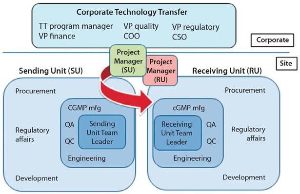 Change during the Product Lifecycle Utilization of QbD ensures a robust Technology Transfer Form a diverse/skilled and collaborative development team Review the process flow diagram for key