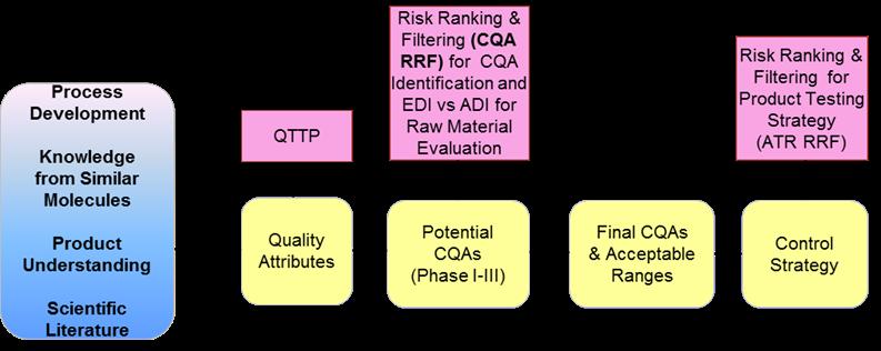 Identification and RA of Quality Attributes QTPP CQA CPP DS CT CQA 는제품수명전체에걸쳐관리 제품개발도중잠재적 CQAs (pcqas) 가확인된다 pcqas