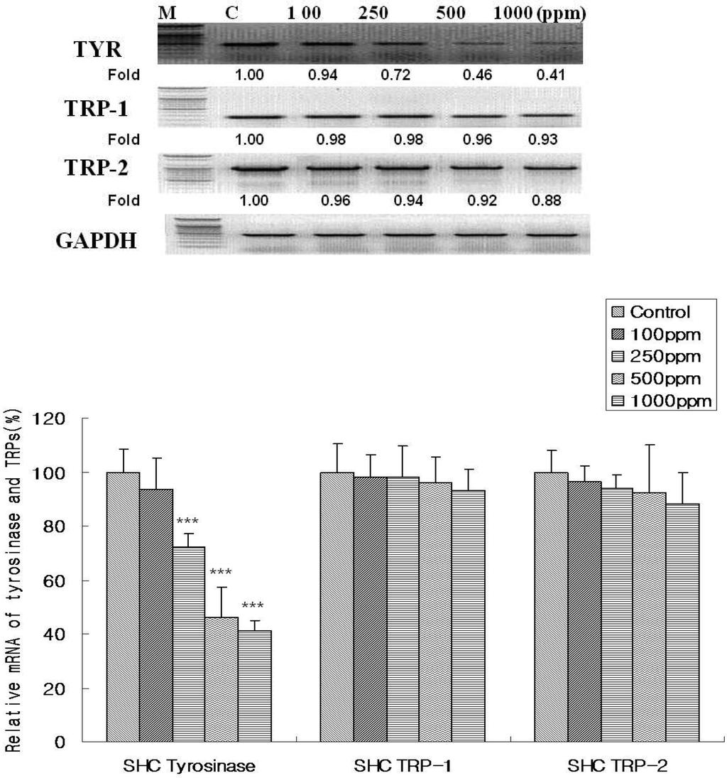 ½kxÁ½ Á Á½k Á½ Á wá Fig. 6. Effect of Agrimonia pilosa Ledeb water extract on tyrosinase, TRP-1, TRP-2 mrna expression in B16BL6 cells. SHC; Agrimonia pilosa Ledeb water extract.