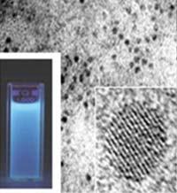본론 의학분야에적용가능한나노소재나노의학에활용되는소재로는양자점 (Quantum Dot; QD), 2) 금속나노입자 (Metallic Nanoparticle), 3) 자성나노입자 (Magnetic Nanoparticle;MNP), 4) 탄소나노튜브 (Carbon