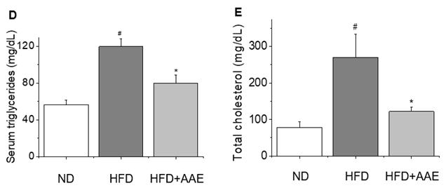 이와달리 AAE 투여군의경우정상군과유사한수준의조직학적소견을보였을뿐아니라, steatosis score에서도고지방식이대조군대비 43% 가까이수치를감소시켜통계학적으로유의한지방증감소효과를나타냈다 (Fig. 2A, p<0.05). Fig. 1.