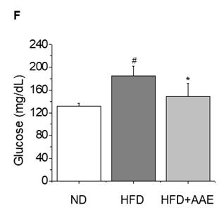 As a control, mice fed with ND or HFD were administered with an equal volume of saline.