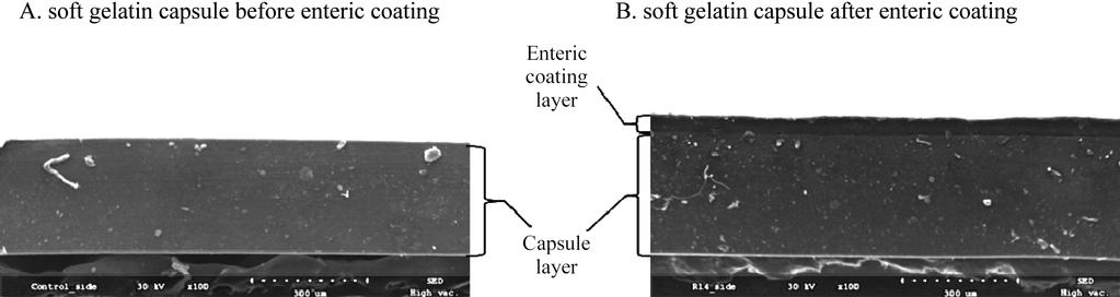 172 한국식품과학회지제 44 권제 2 호 (2012) Fig. 3. Scanning electron microscopic photographs of soft gelatin capsule and enteric-coated soft gelatin capsule.